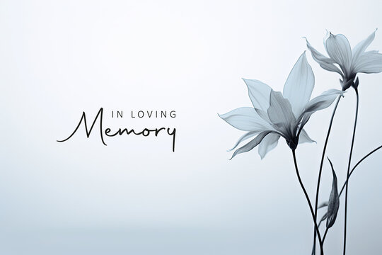 Mary Harris Obituary, Death – In Loving Memory of a Cherished Woman Whose Kindness Touched Many Lives