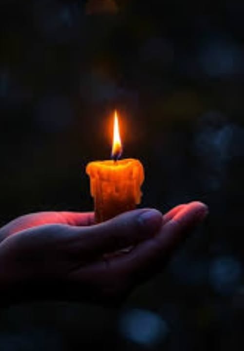 Stuart T Johnston, Dicky Beach and Sunshine Coast Community Mourns Loss of Respected Researcher