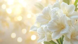 Crispin Vargas Jr. Death, Obituary – Lodi, Ohio Man Dies in Medina County Crash